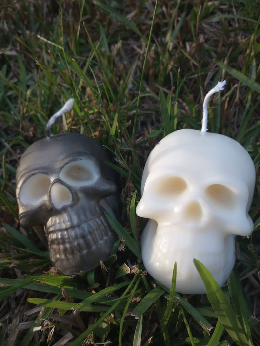 Skull Candle Medium